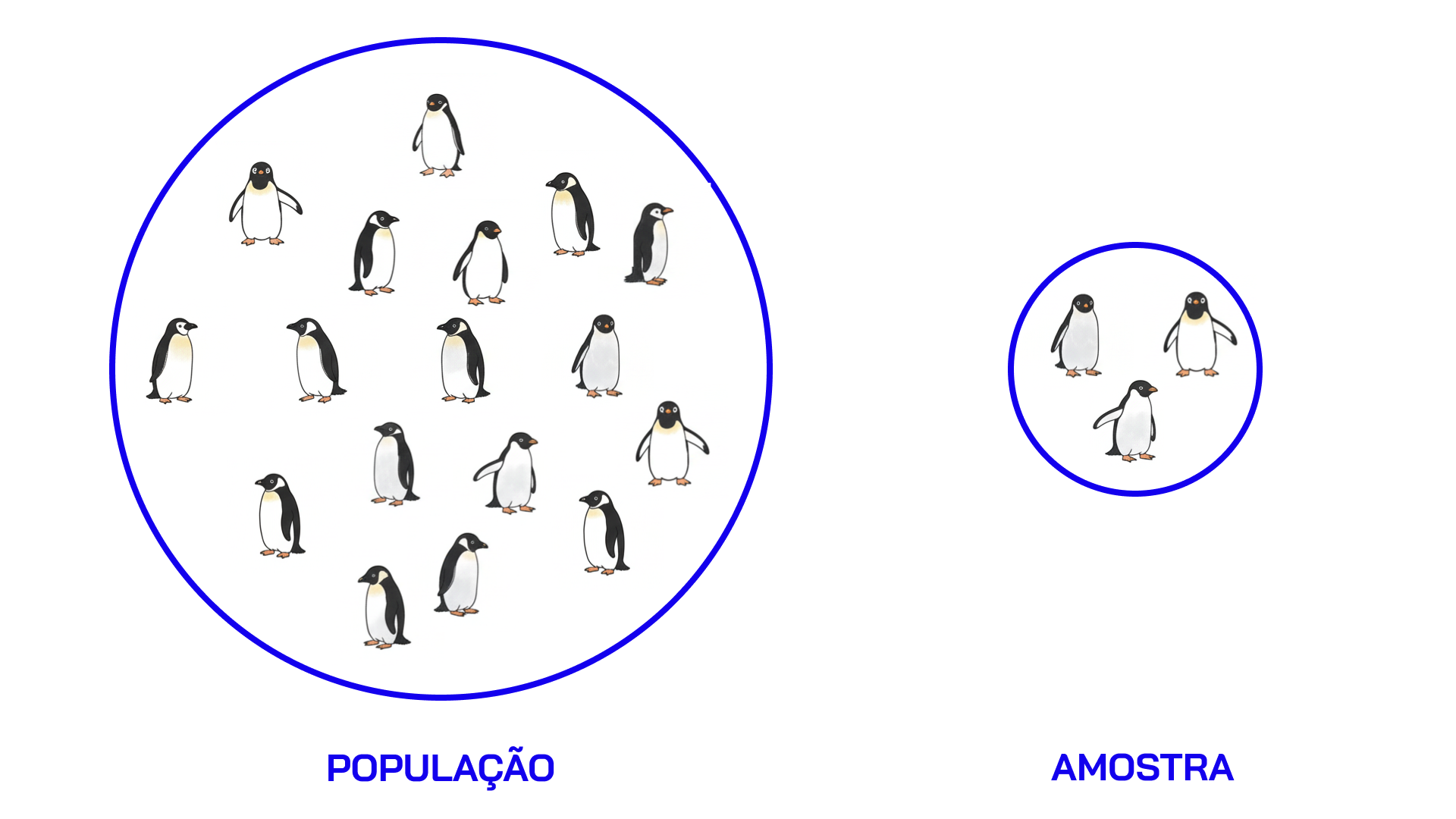 População vs Amostra